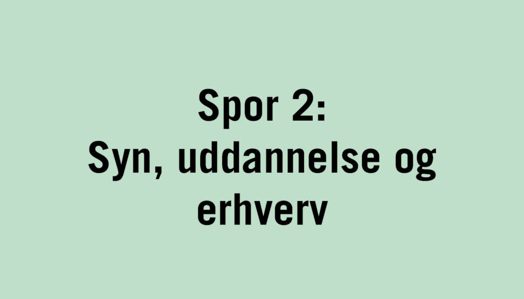 Tekst: Spor 2: Syn, uddannelse og erhverv